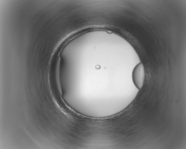 X0000079580728200612301406