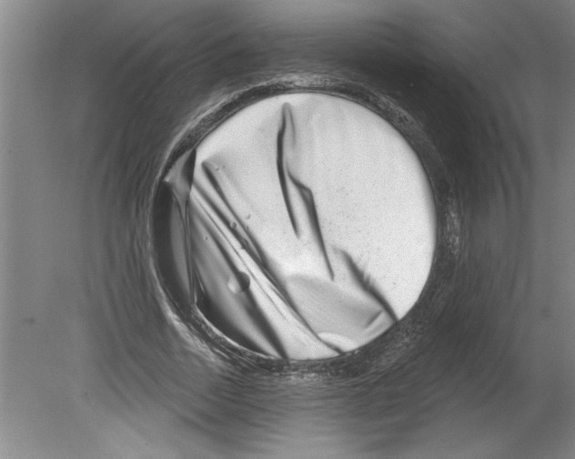 X0000079580730200612301406