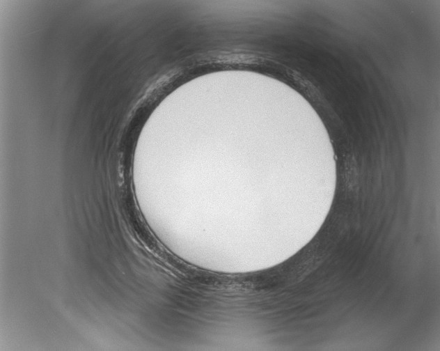 X0000079580731200612301406