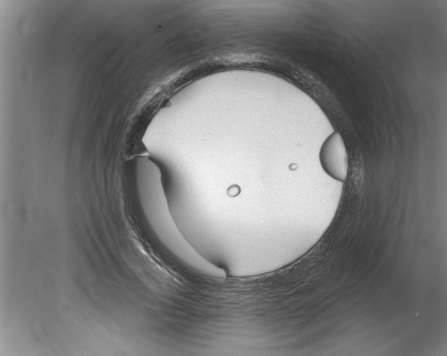 X0000079580732200612301406