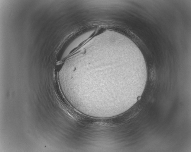 X0000079580733200612301406