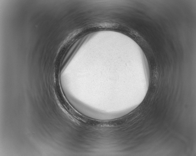 X0000079580734200612301406