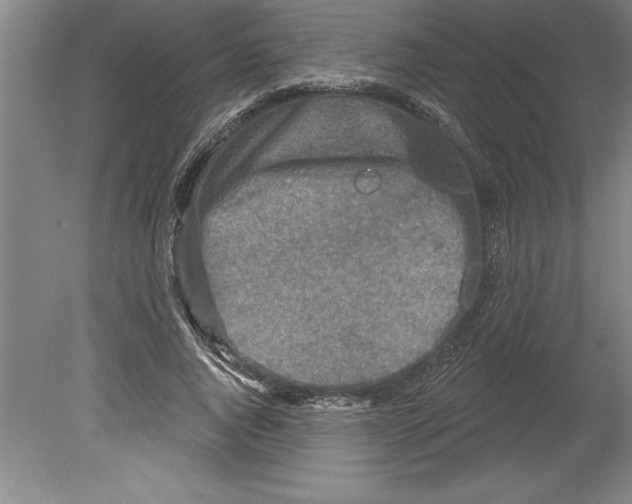 X0000079580736200612301406