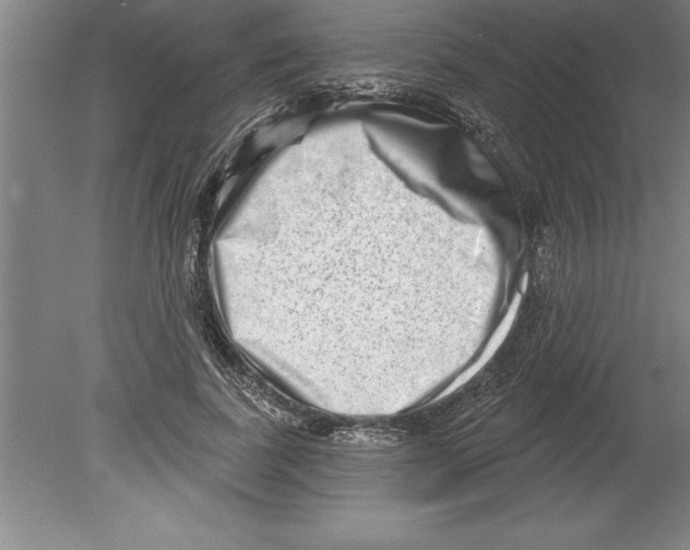 X0000079580739200612301406