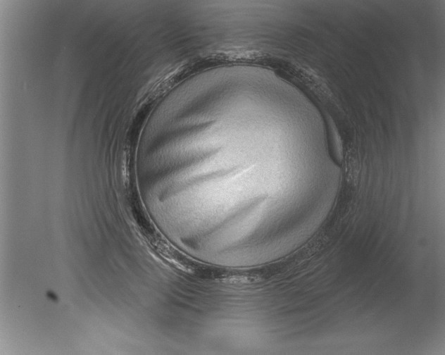 X0000079580740200612301406