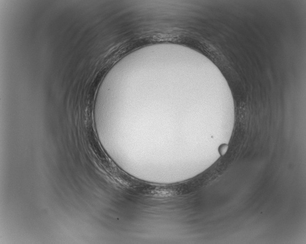 X0000079580741200612301406