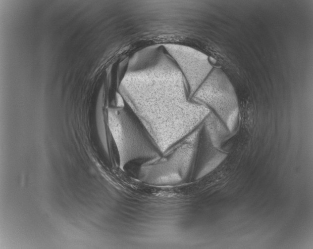 X0000079580742200612301406