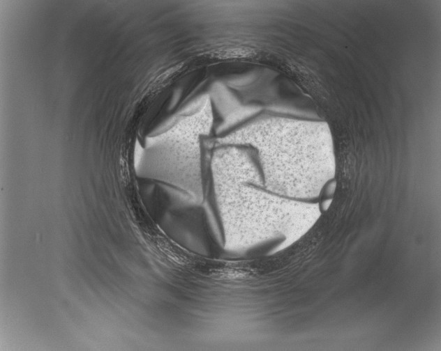 X0000079580743200612301406