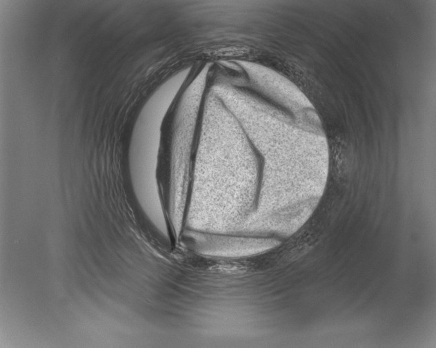 X0000079580745200612301406