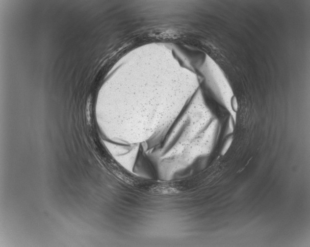 X0000079580747200612301406