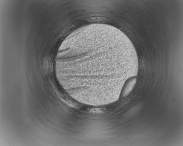 X0000079580751200612301406