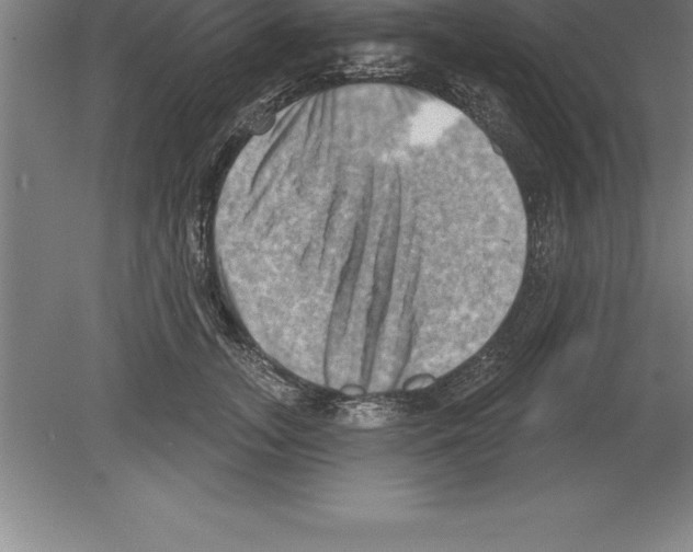 X0000079580755200612301406