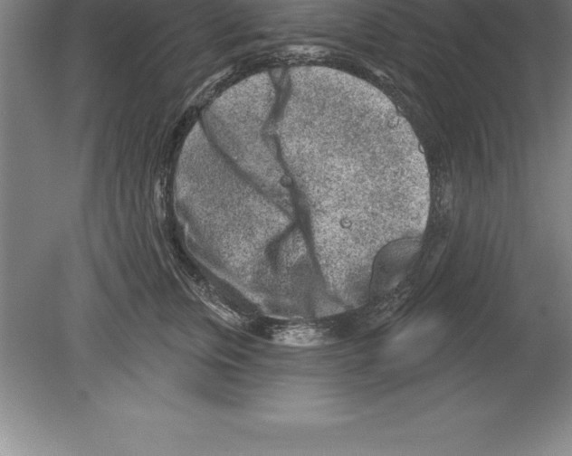 X0000079580759200612301406