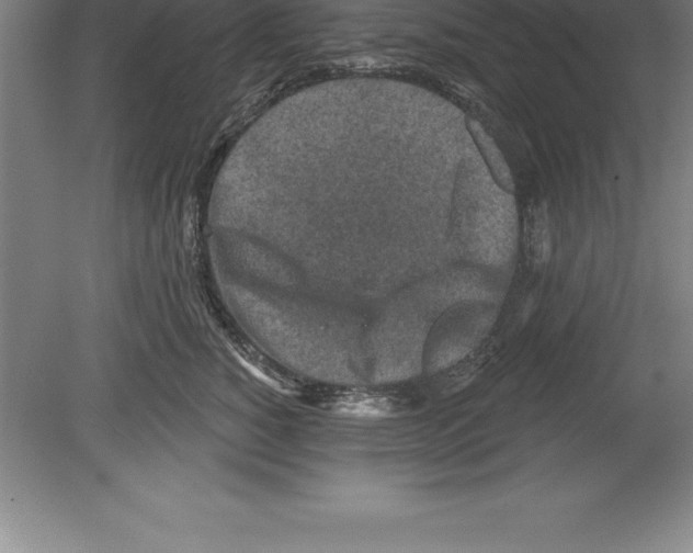 X0000079580760200612301406