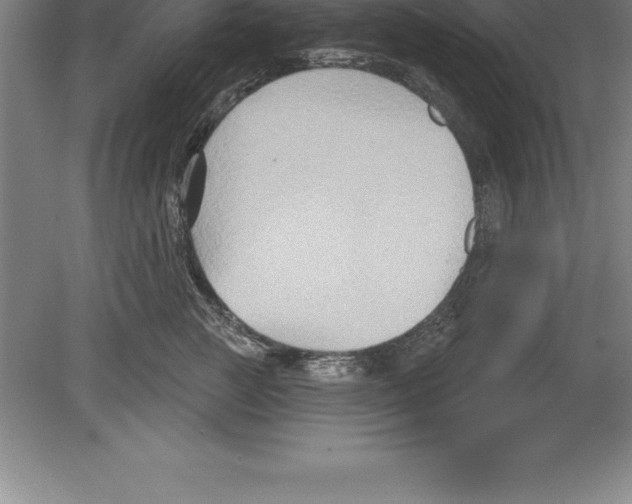 X0000079580761200612301406