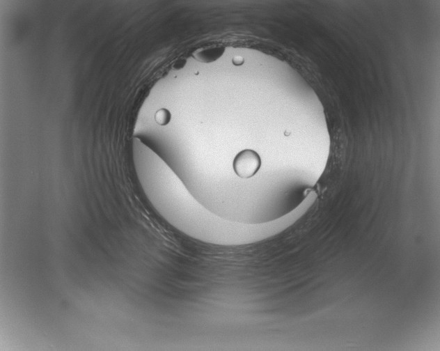 X0000079580762200612301406