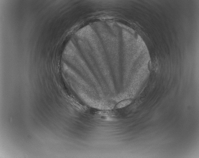 X0000079580763200612301406