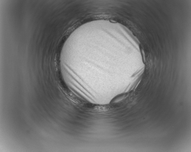 X0000079580764200612301406