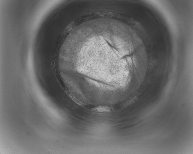 X0000079580765200612301406