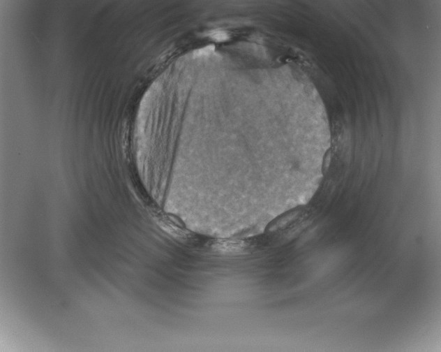 X0000079580767200612301406