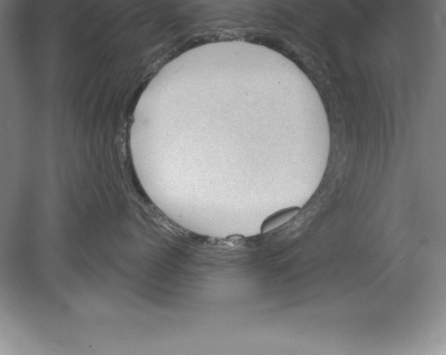 X0000079580768200612301406