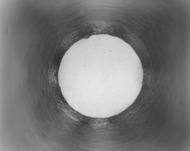 X0000079580770200612301406