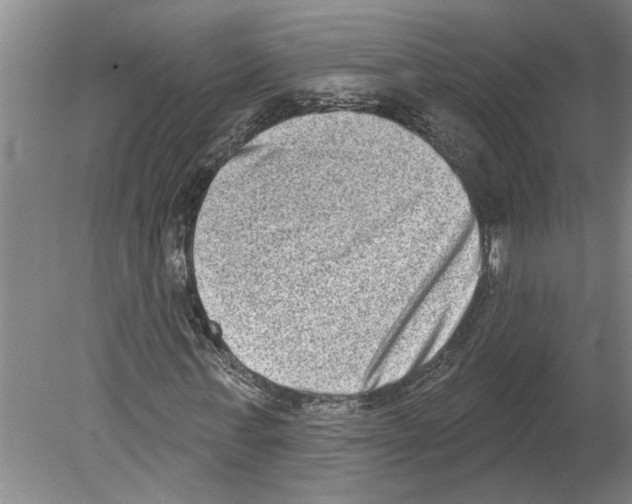 X0000079580771200612301406