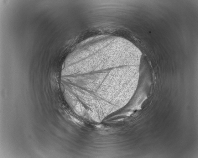 X0000079580772200612301406