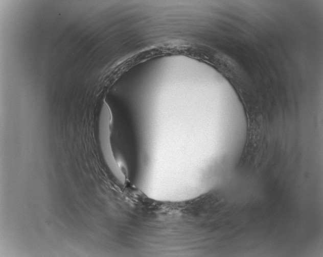 X0000079580773200612301406