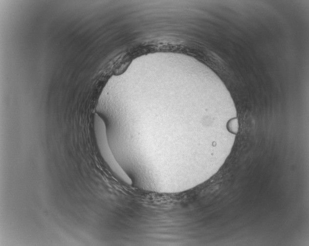 X0000079580774200612301406