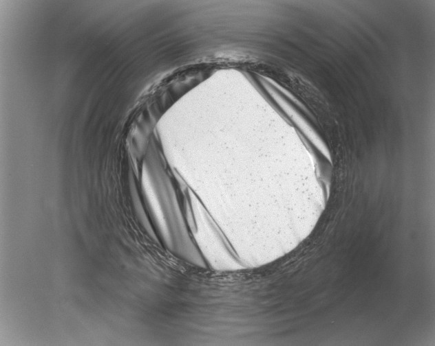 X0000079580776200612301406