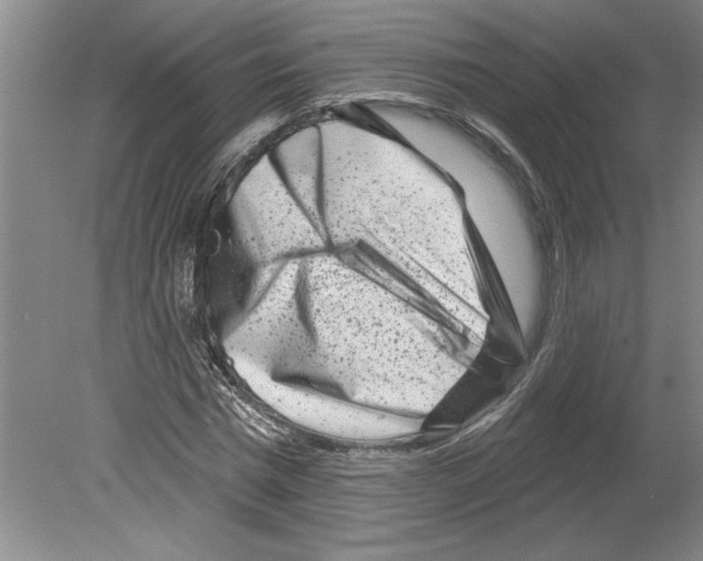 X0000079580777200612301406