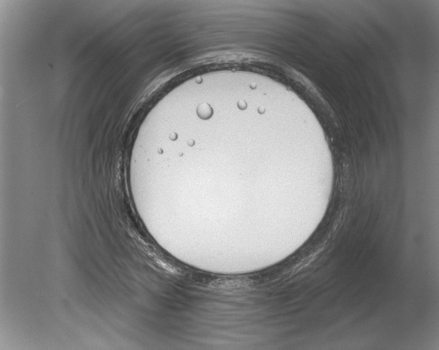 X0000079580778200612301406