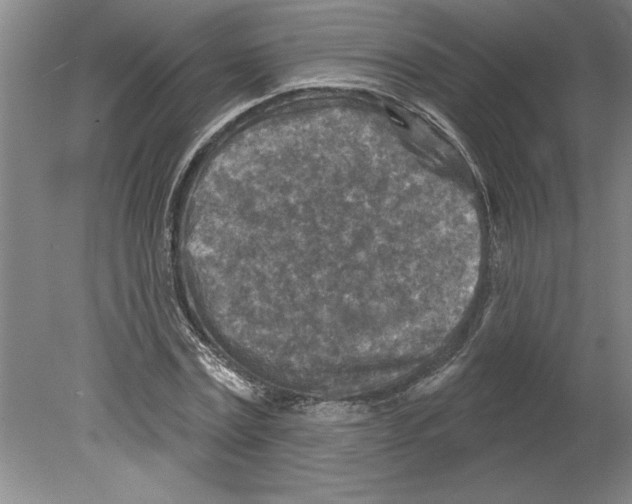 X0000079580779200612301406