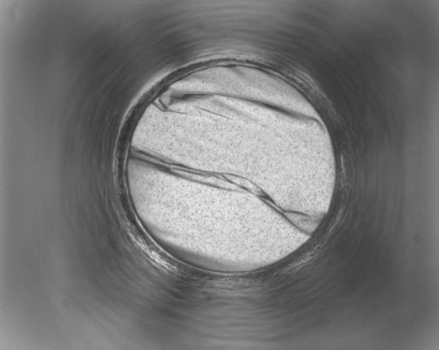 X0000079580780200612301405