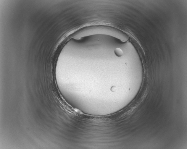 X0000079580781200612301405