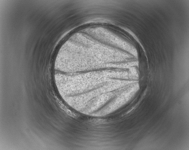 X0000079580783200612301405