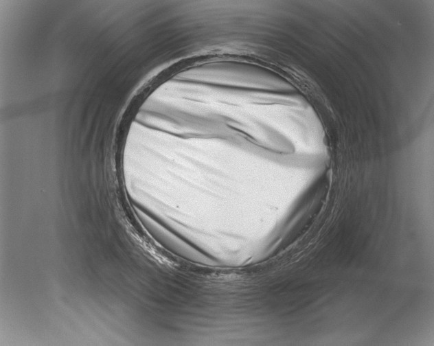 X0000079580784200612301405