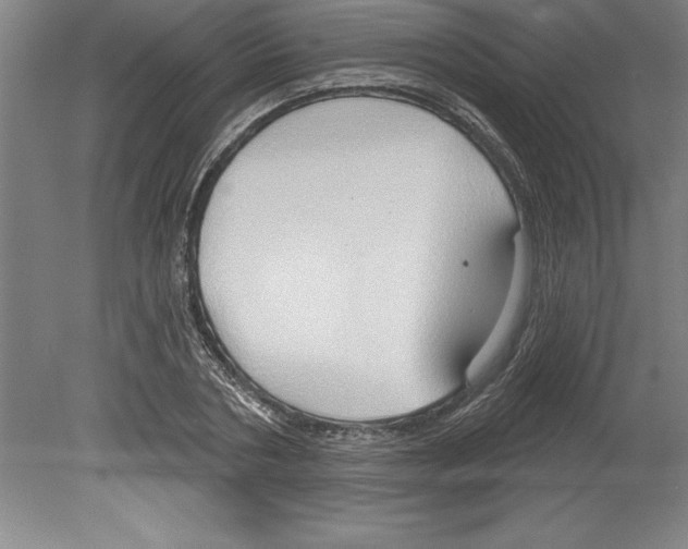 X0000079580786200612301405