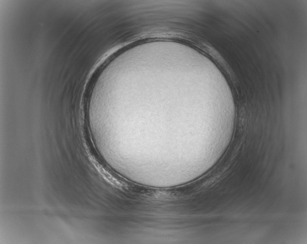 X0000079580787200612301405