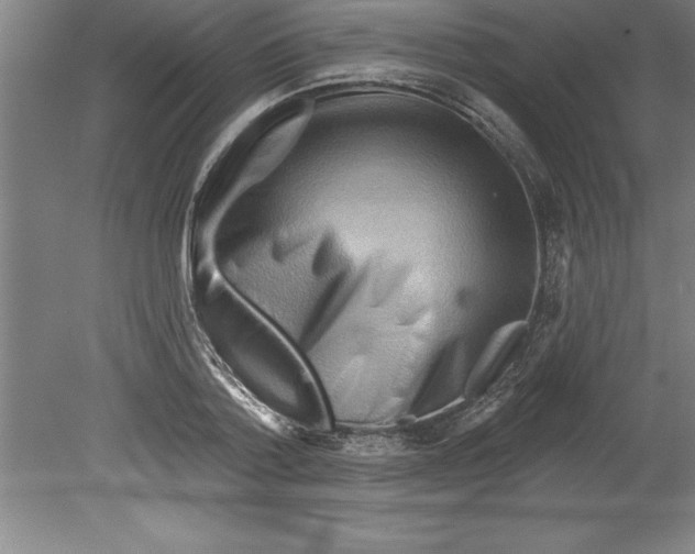 X0000079580788200612301405