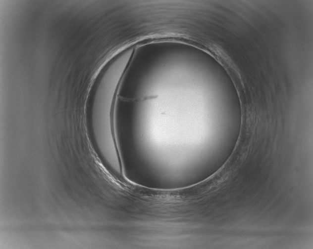 X0000079580789200612301405