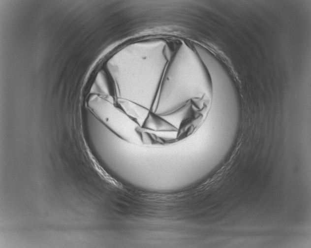 X0000079580792200612301405