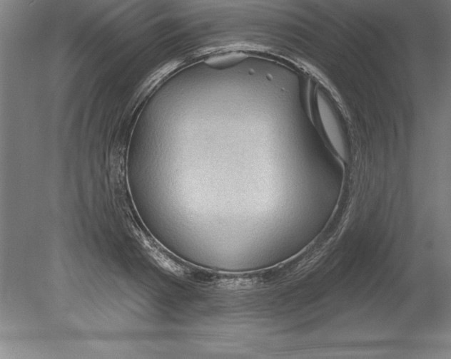 X0000079580793200612301405