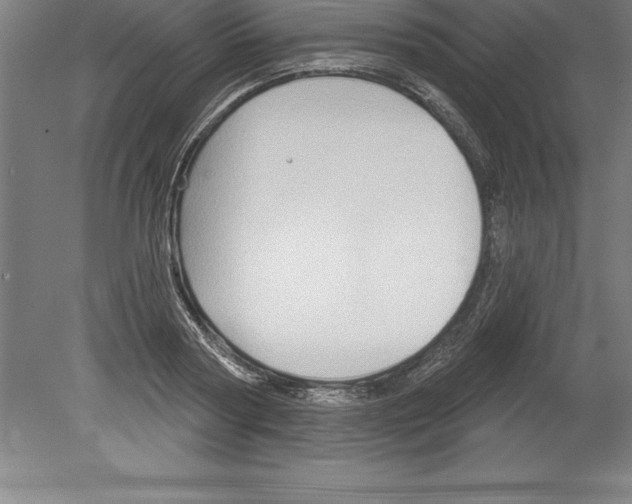 X0000079580794200612301405