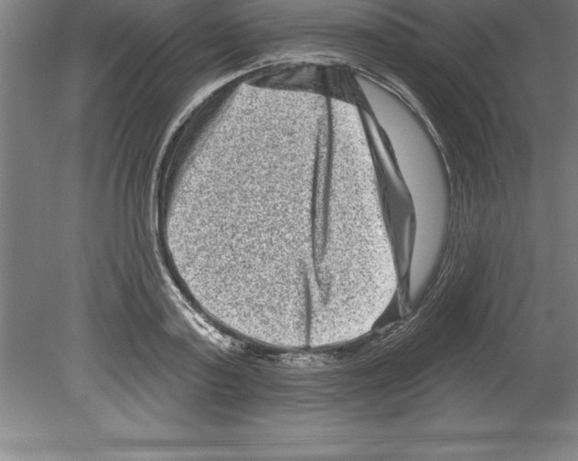 X0000079580795200612301405