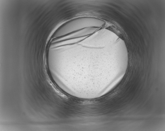 X0000079580796200612301405