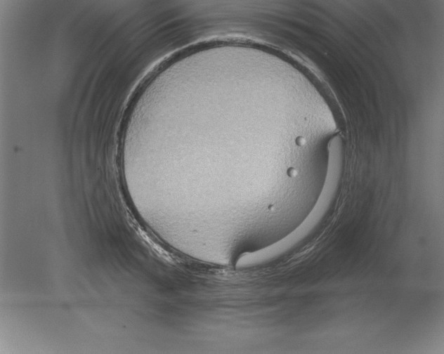 X0000079580799200612301405