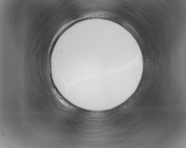 X0000079580800200612301405