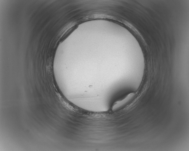 X0000079580801200612301405